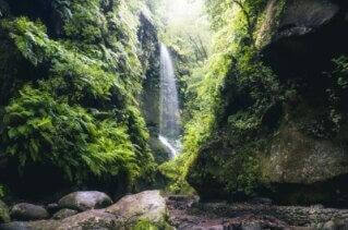 Parque Natural de Las Nieves