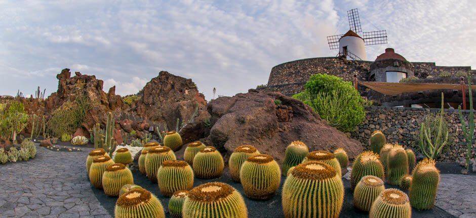 Kaktuszkert Múzeumok és turista központok Lanzarotéban