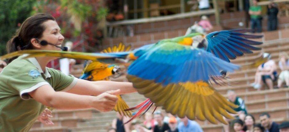 Jungle Park Tenerife állatkertjei