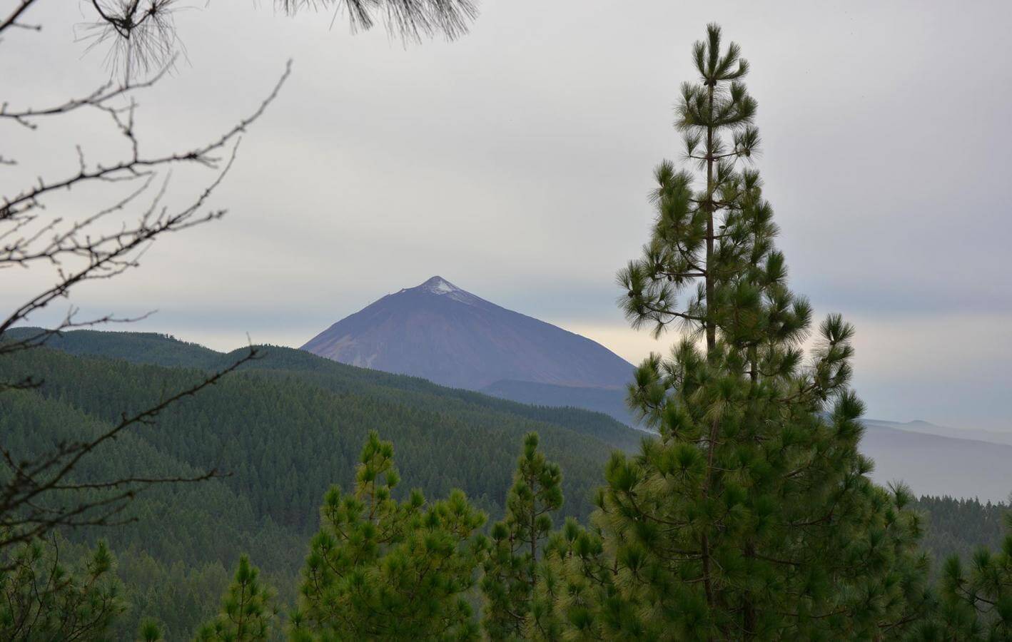 La Esperanza-Trail