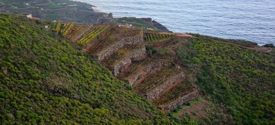 La Galga – La Palma-i falvak