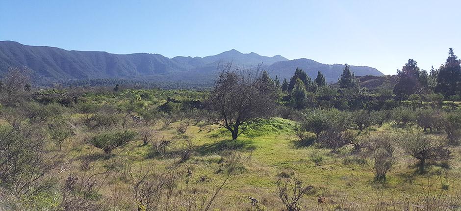 El Riachuelo. Orientación de La Palma