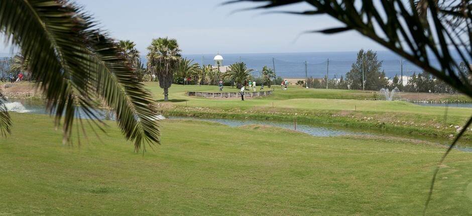 Las Palmeras Golf Gran Canaria golfpályái