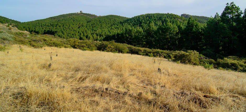 Llanos de Garañón + Csillagmegfigyelés Gran Canarián