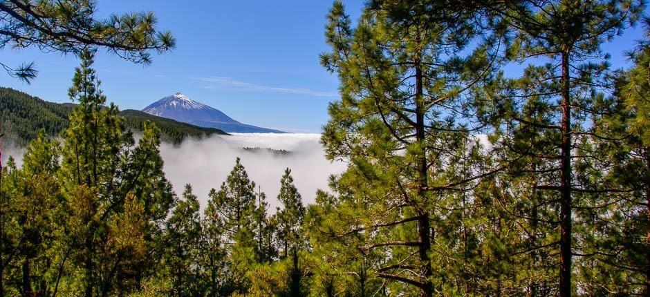 A Mirador de Ortuño Tenerifén