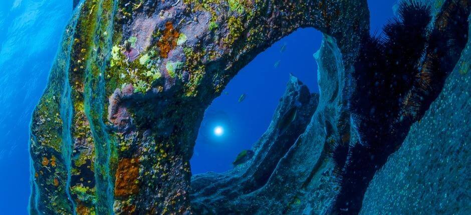 Merülés Montaña Amarilla mellett, Tenerifén
