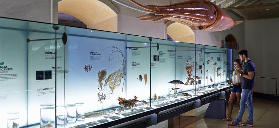 MUNA, Természettudományi és Antropológiai Múzeum