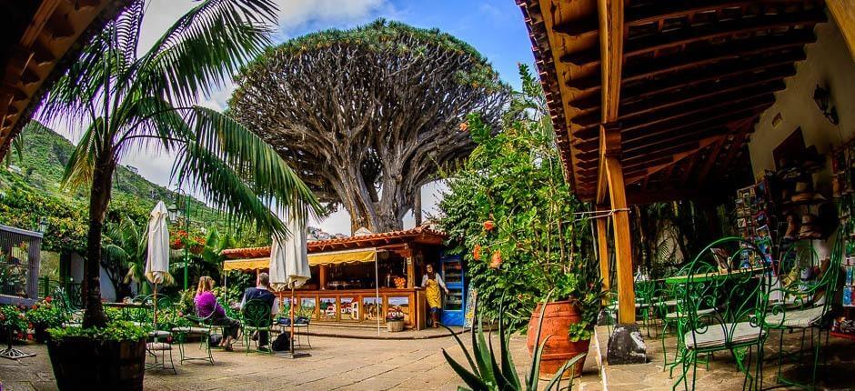 Ezeréves sárkányfa park Múzeumok és turista központok Tenerifén