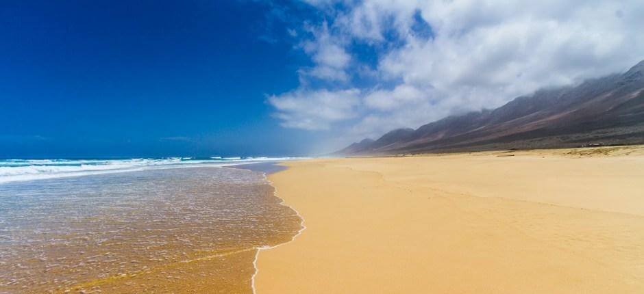 Cofete strand + Fuerteventura érintetlen partjai