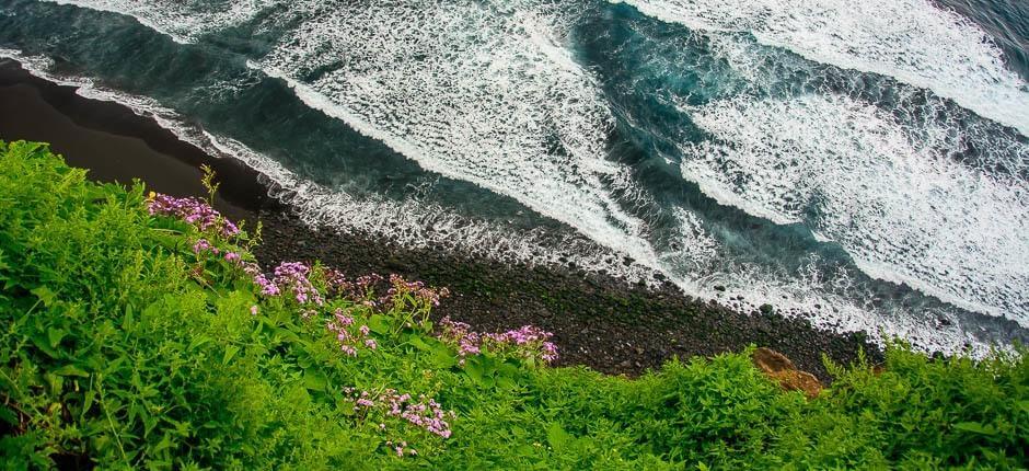 Los Patos strand + Tenerife érintetlen partjai