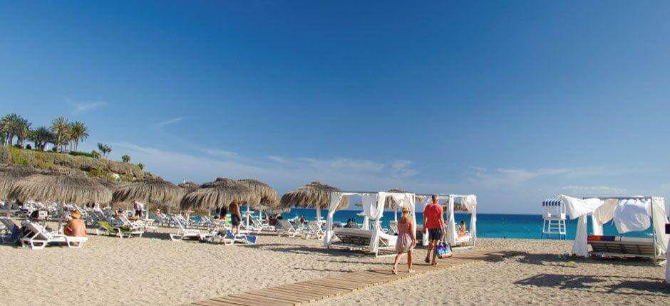 Duque strand Tenerifén