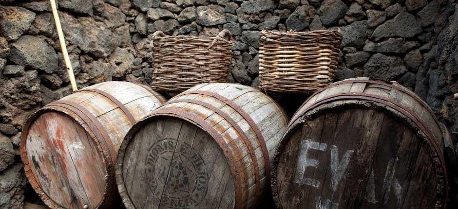 Guinea Ökomúzeum Múzeumok és turista központok El Hierron