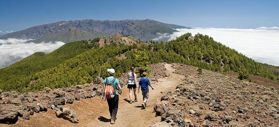 Ruta de los Volcanes. Senderos de La Palma