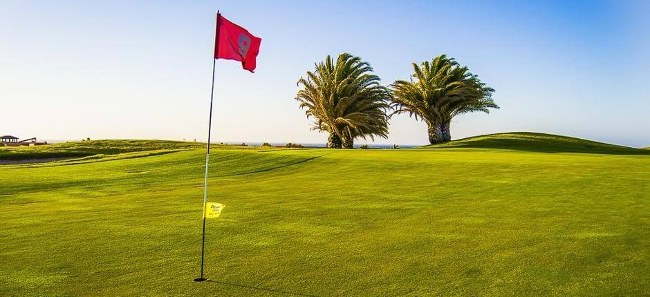 Golf Club Salinas de Antigua Fuerteventura golfpályái