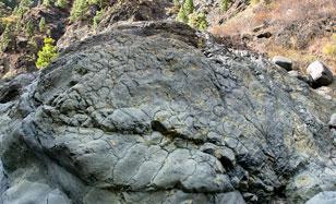 La Palma alapjai