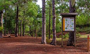 Zona de acampada de Llanos de La Mimbre