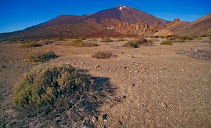 Llano de Ucanca